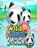 ปั่น สล็อต roma แบบทดลองเล่น ฟีเจอร์เด็ดที่ต้องลอง!